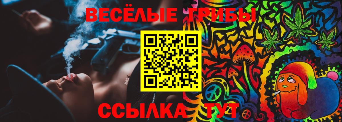 Галлюциногенные грибы ЛСД  Вход с VPN  Сызрань  Галлюциногенные грибы GOLDEN TEACHER 
